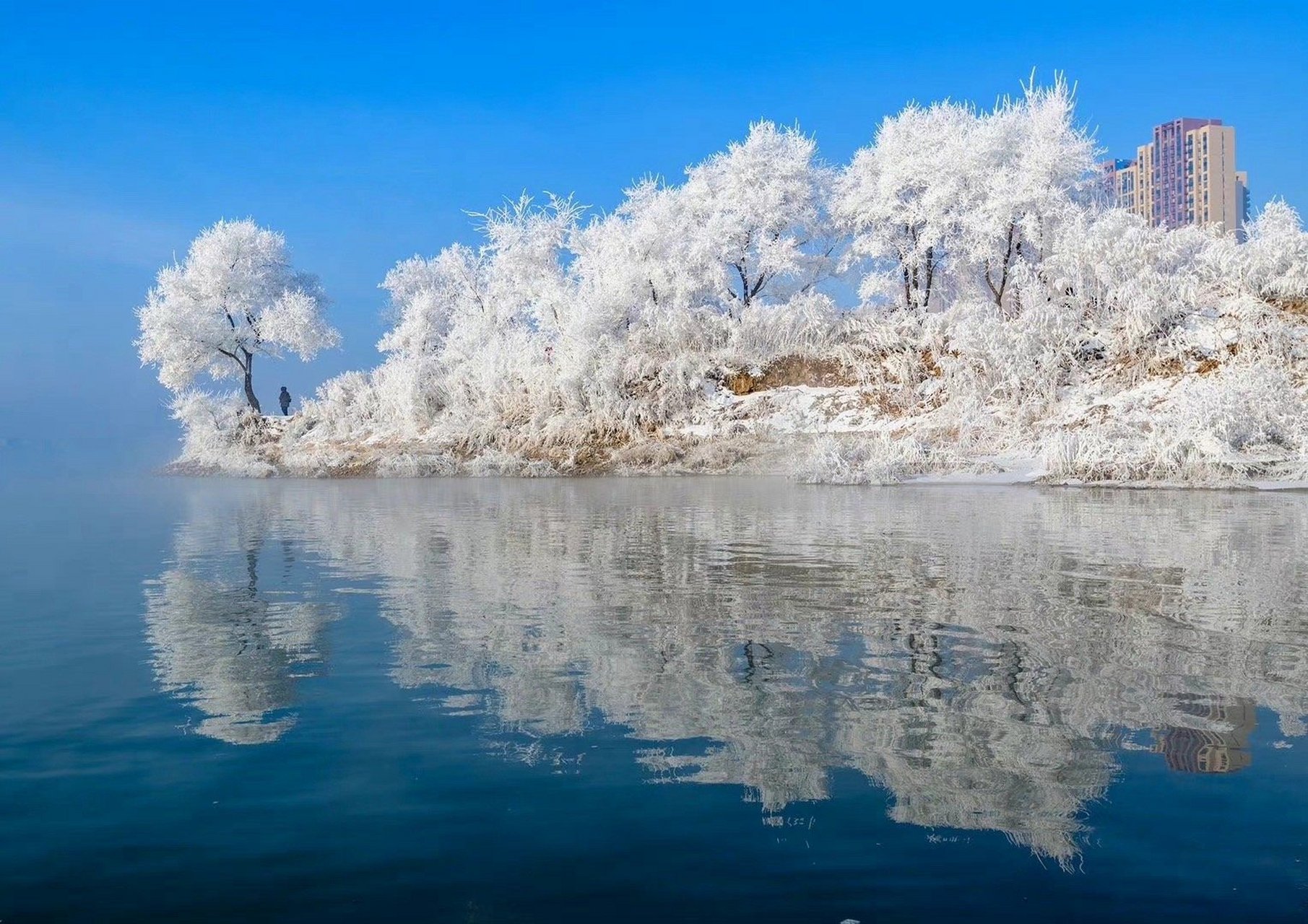 吉林,梦想之城的无限可能