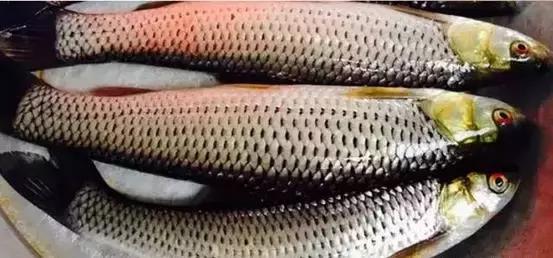 海南，热带风情与美食的天堂之旅