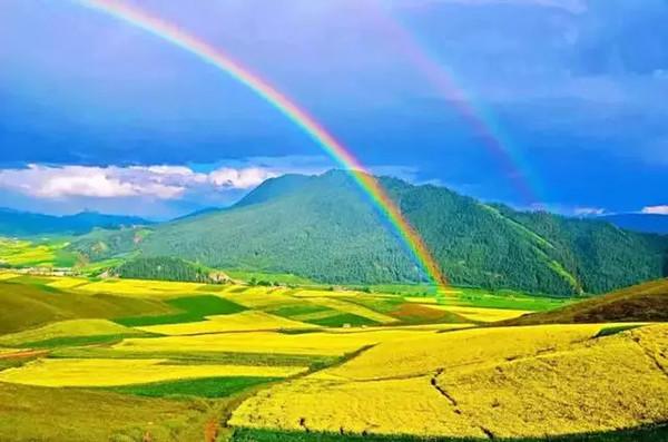 外交部发言人就青海相关评论文章表态