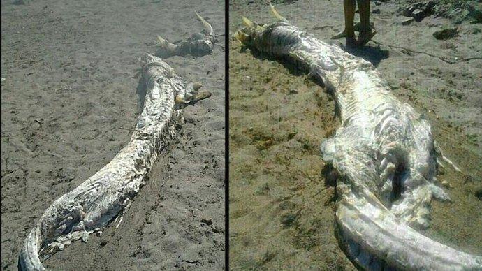 营口,历史、文化与地理的交融