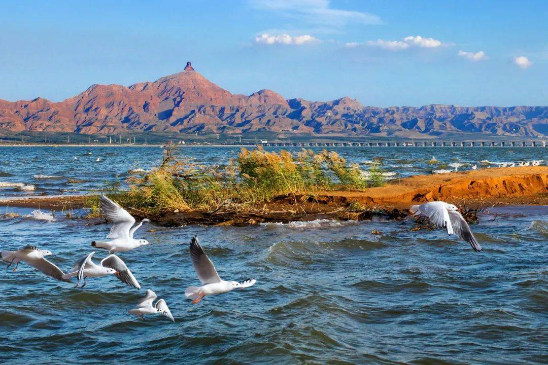 乌海，自然之约，温柔邂逅之地